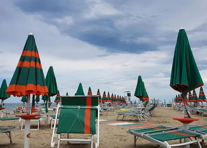 Vela * Альба-Адриатика